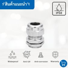 กระดูกงูร้อยสายไฟลูกฟูก PE Conduit 30 เคเบิ้ลแกลน 3 4