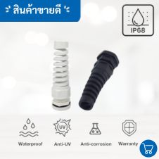 ตู้กระจกสแตนเลสประตู 2 ชั้น 550x700x250 26 เคเบิ้ลแกลนสายไฟ
