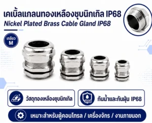 จำหน่ายเคเบิ้ลแกลนสแตนเลส 304 IP68 Cable Range 13-18 PG21 ราคา 575 19 เคเบิ้ลแกลนทองเหลือง